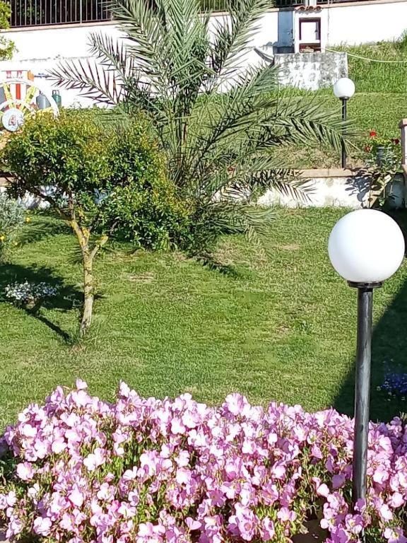 B&B Stella Del Cilento Di Anna Botti Agropoli Extérieur photo